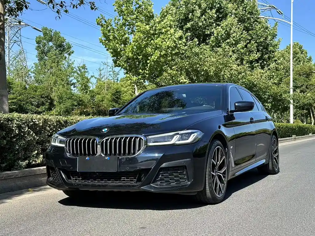 BMW 5 Series 5 2021 530Li Lead M Sport