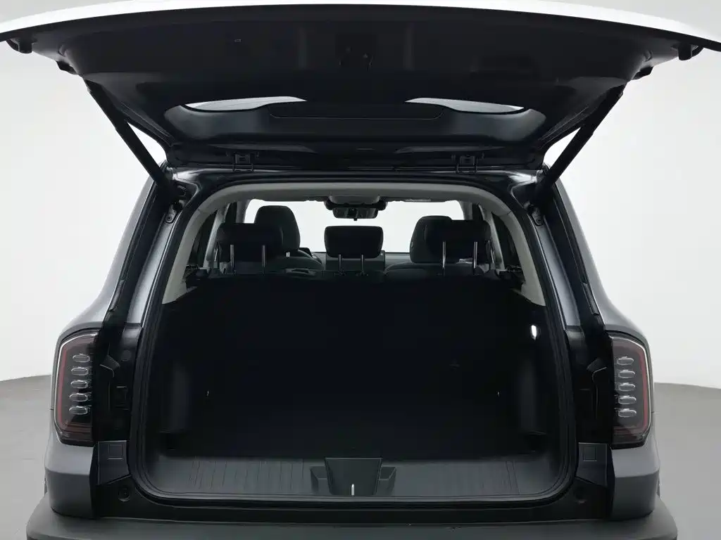 Haval Big Dog — миниатюра 16