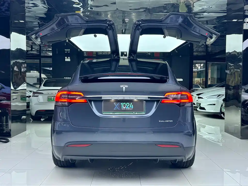 Tesla Model X — миниатюра 6