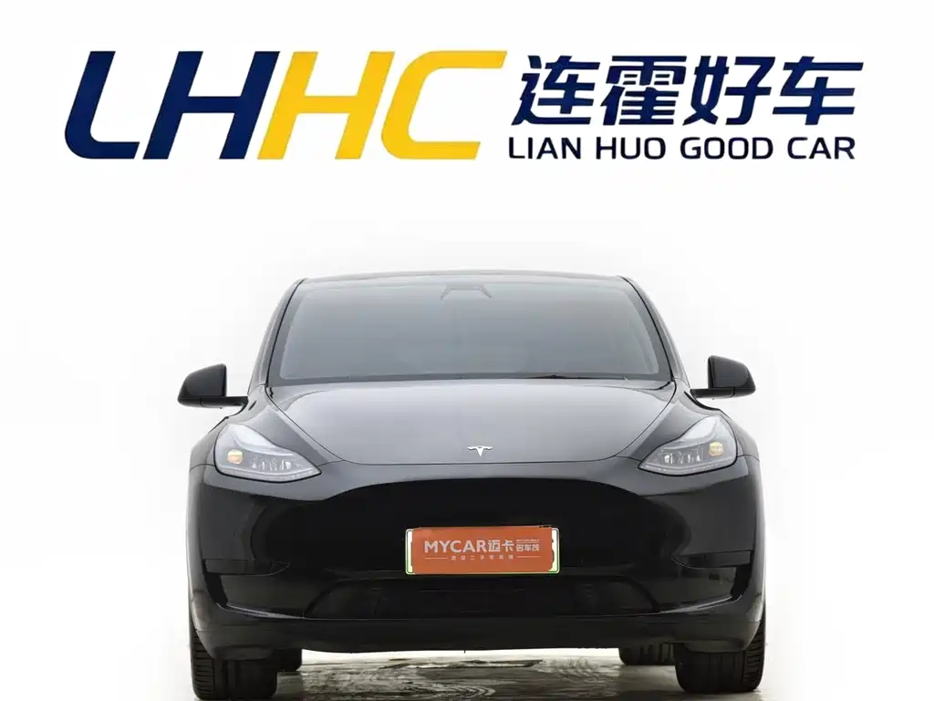 Tesla Model Y — миниатюра 2
