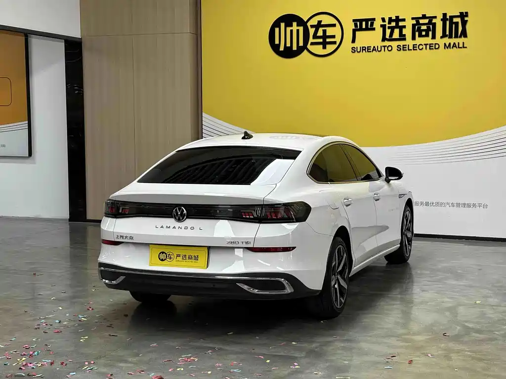 Volkswagen Lamando — миниатюра 7