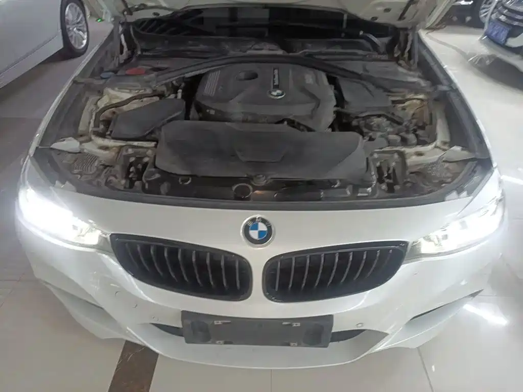 BMW 3 Series GT — миниатюра 20