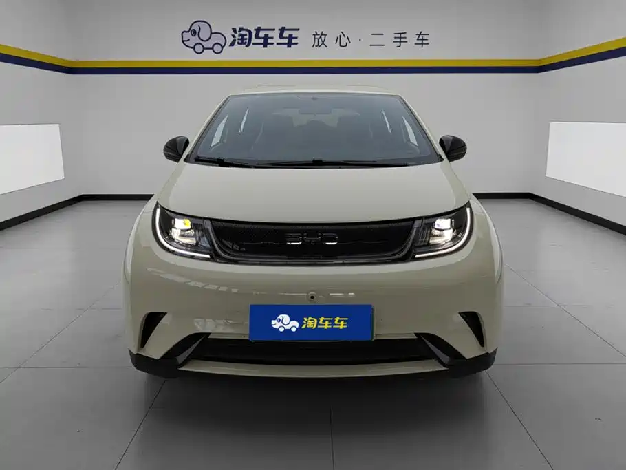 BYD Dolphin — миниатюра 2