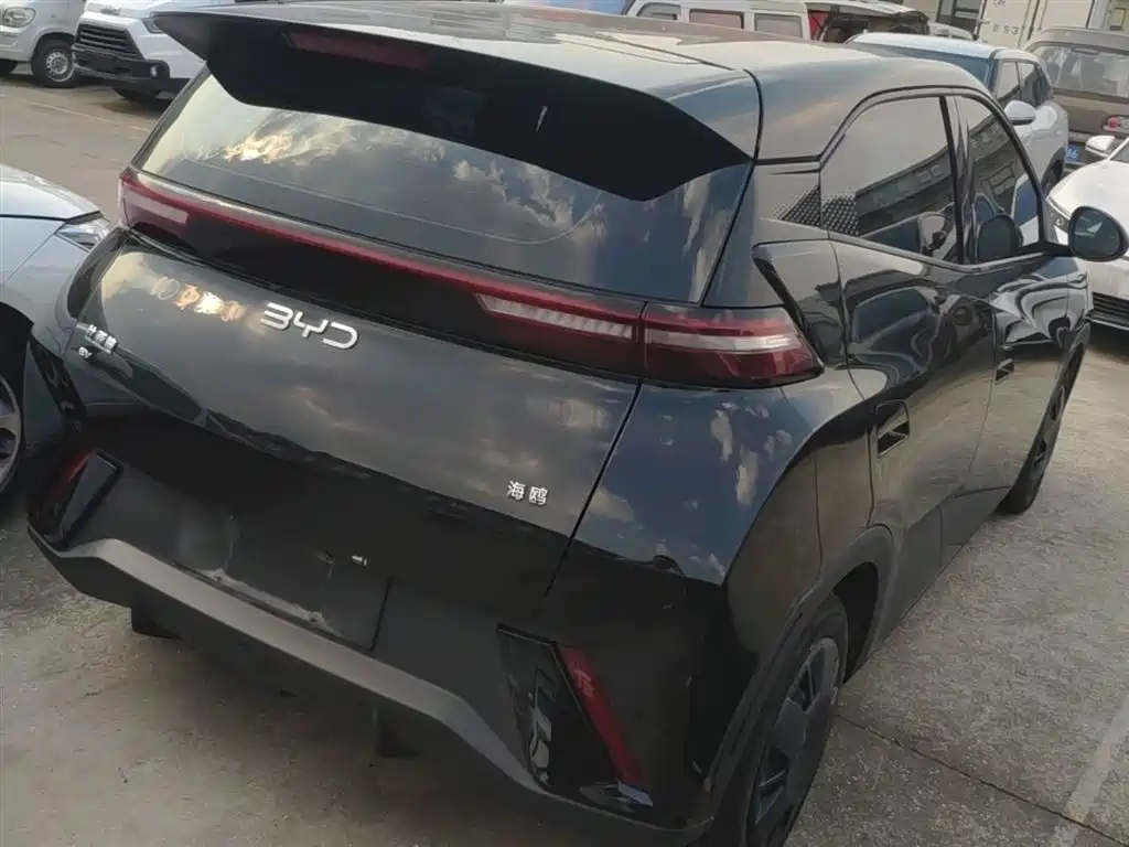 BYD Seagull 2024 305km