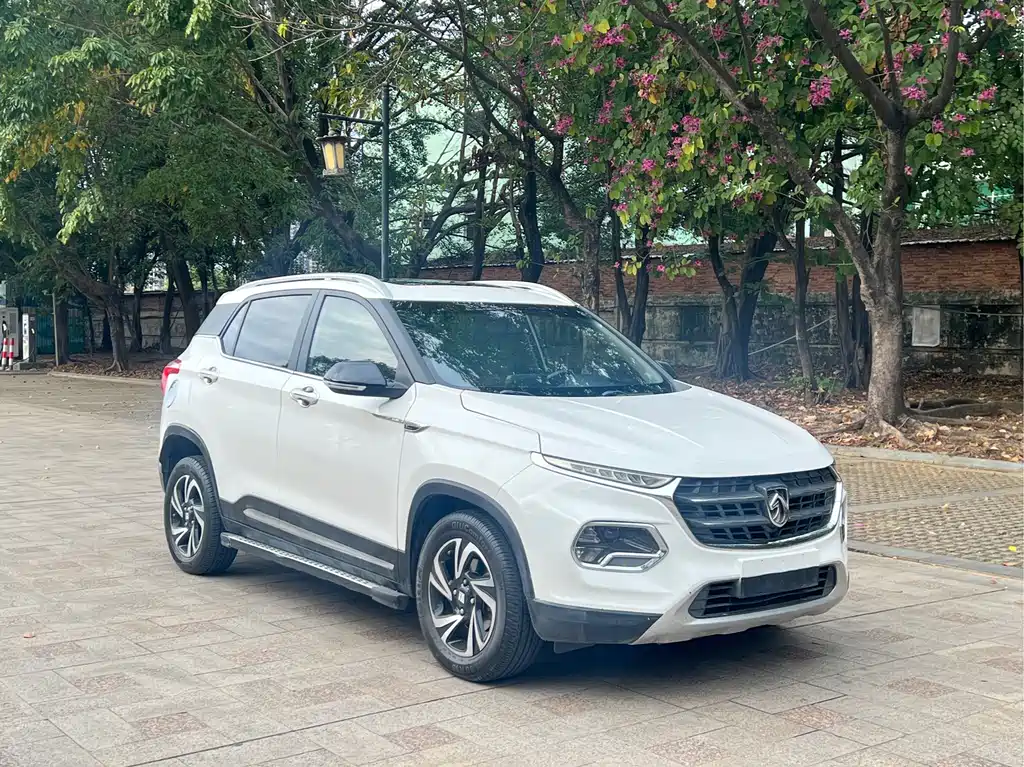 BAOJUN 510