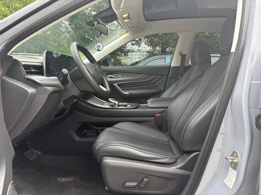 Venucia V 2021 260T