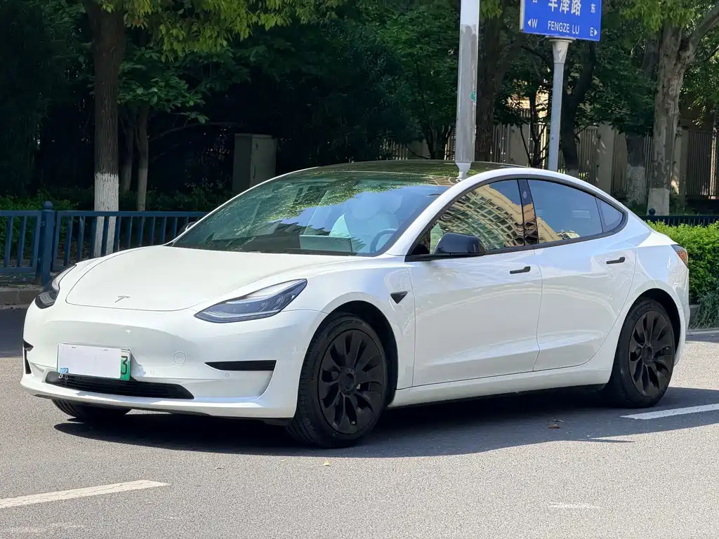Tesla Model 3 2020