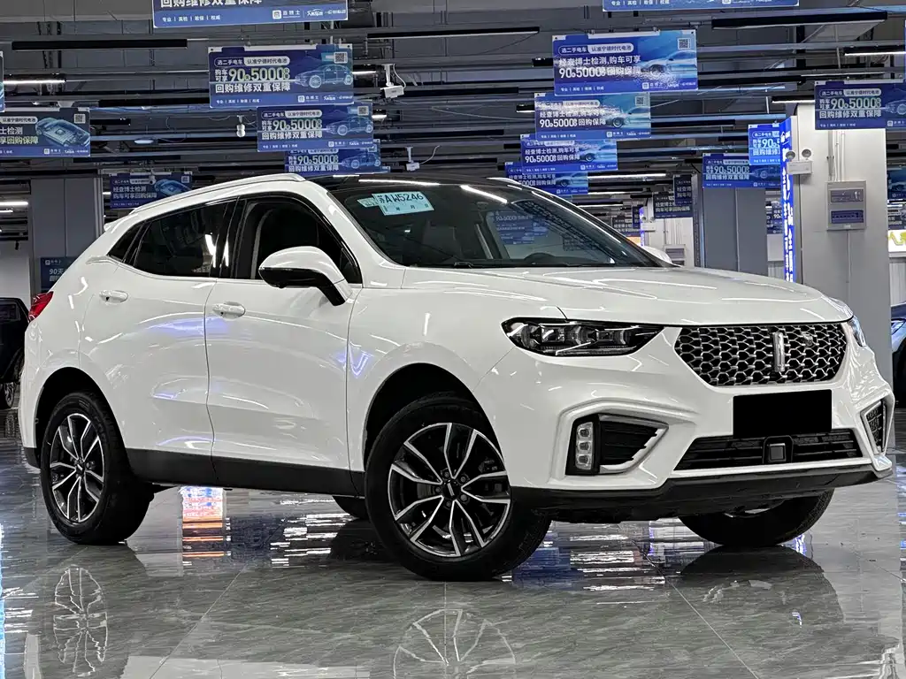 WEI PAI WEI BRAND VV5