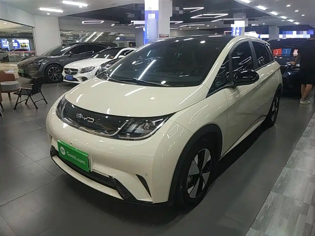Byd Dolphin 2023
