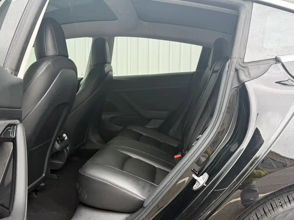 Tesla Model 3 — миниатюра 13