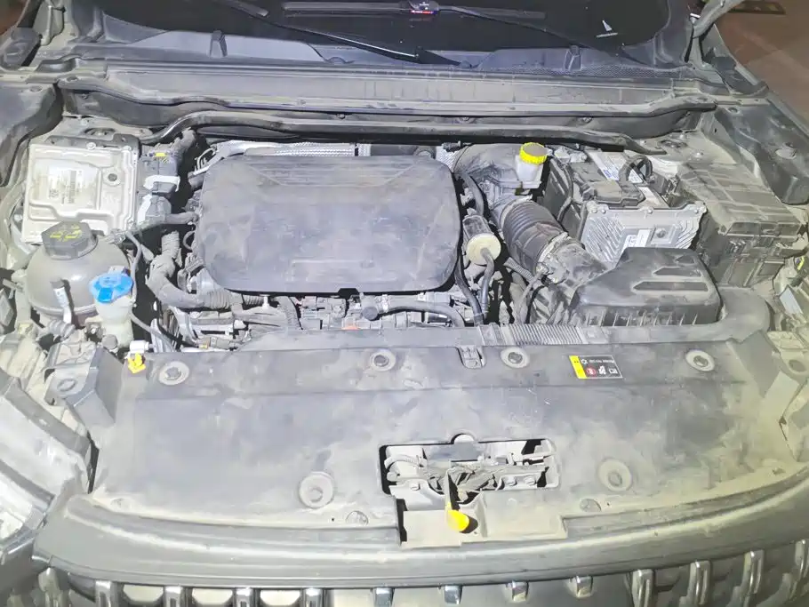 Haval Chitu — миниатюра 10