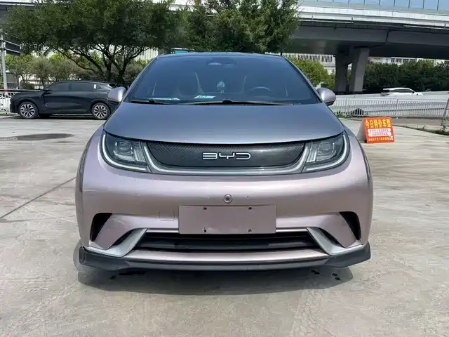 2022 BYD Dolphin