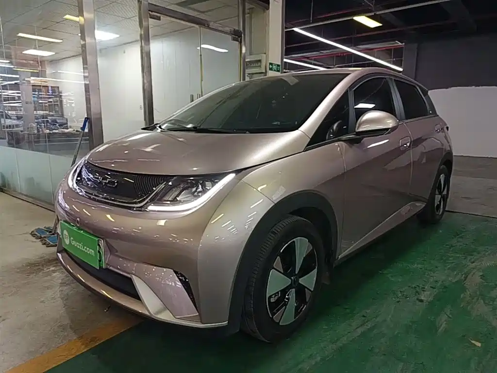 Byd Dolphin 2024
