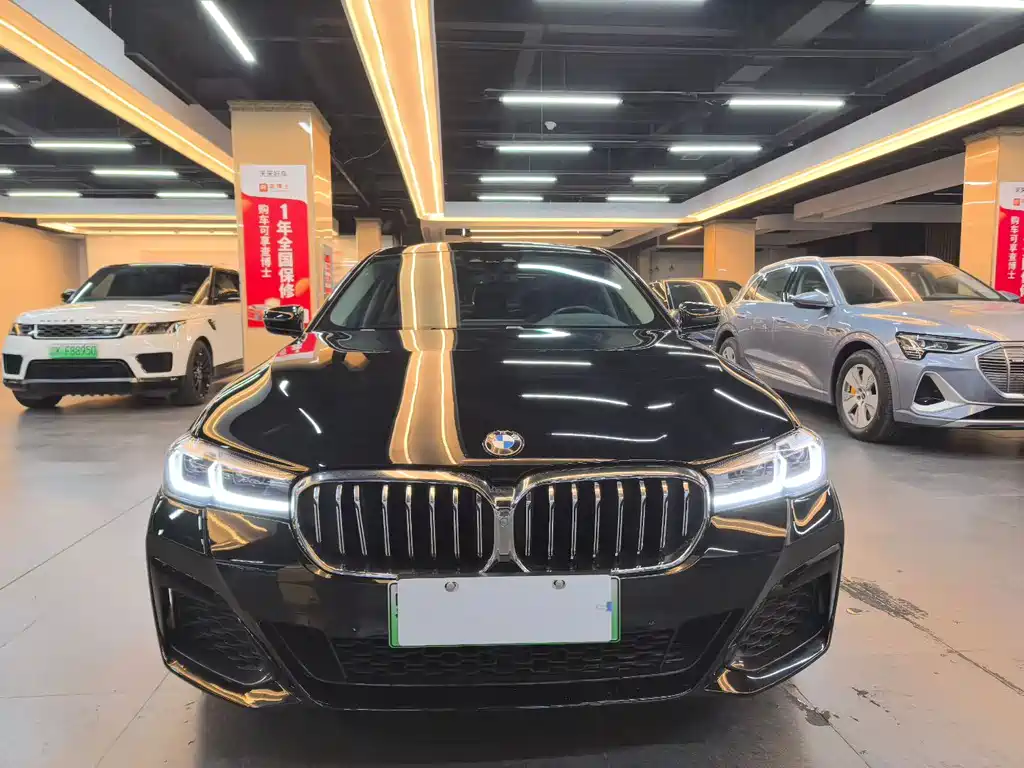 BMW 5 SERIES NEW ENERGY