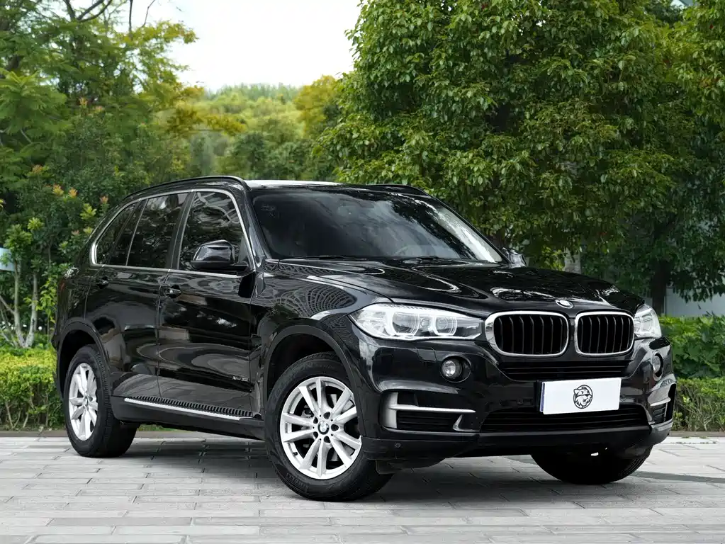 BMW X5 (Import) — миниатюра 3