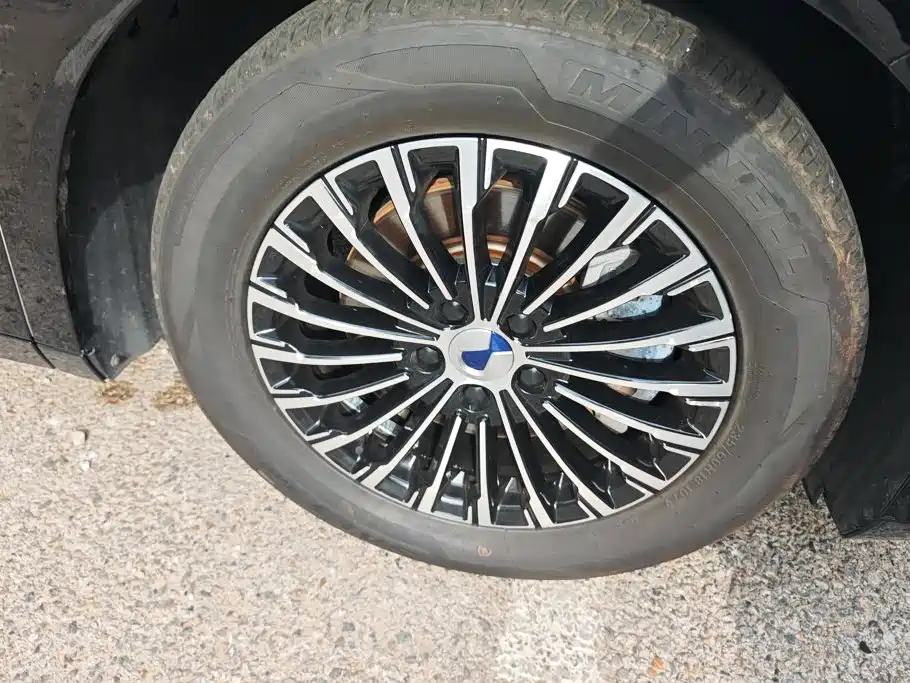 Denza Denza D9 — миниатюра 6