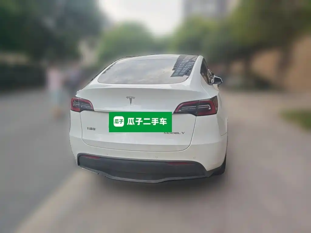 Tesla Model Y — миниатюра 4
