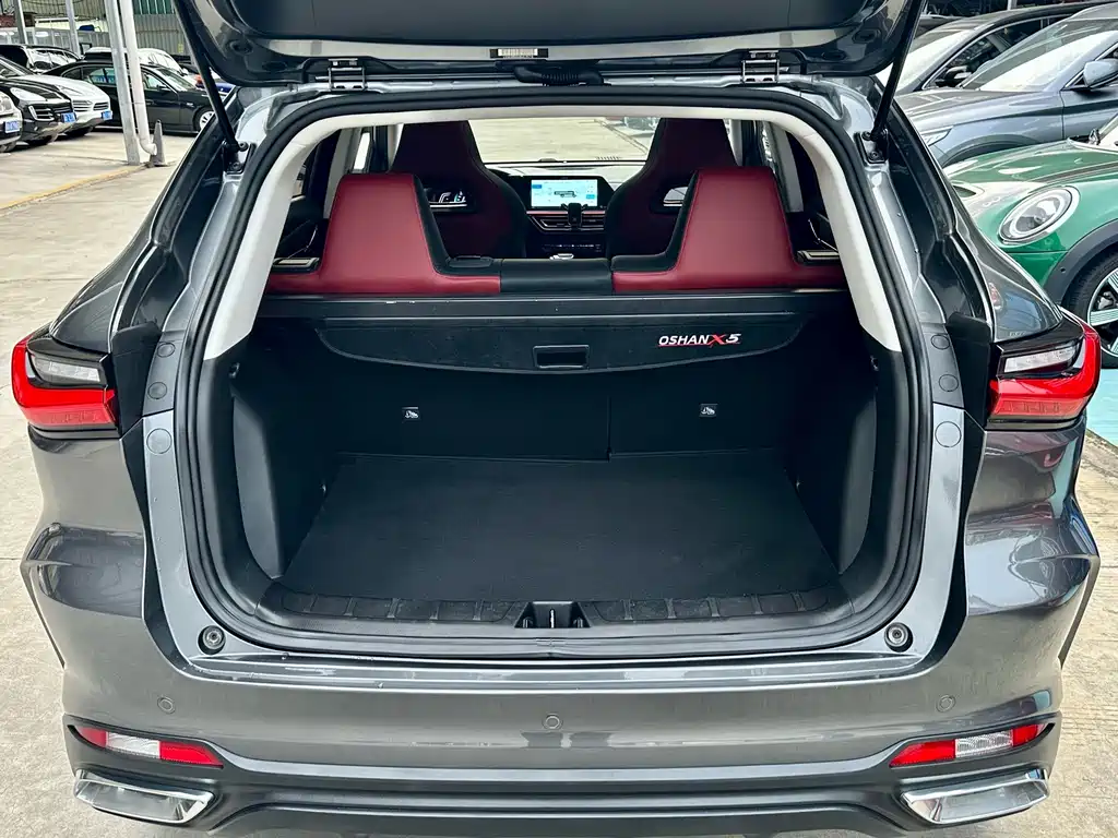 Oshan Oushang X5 — миниатюра 30