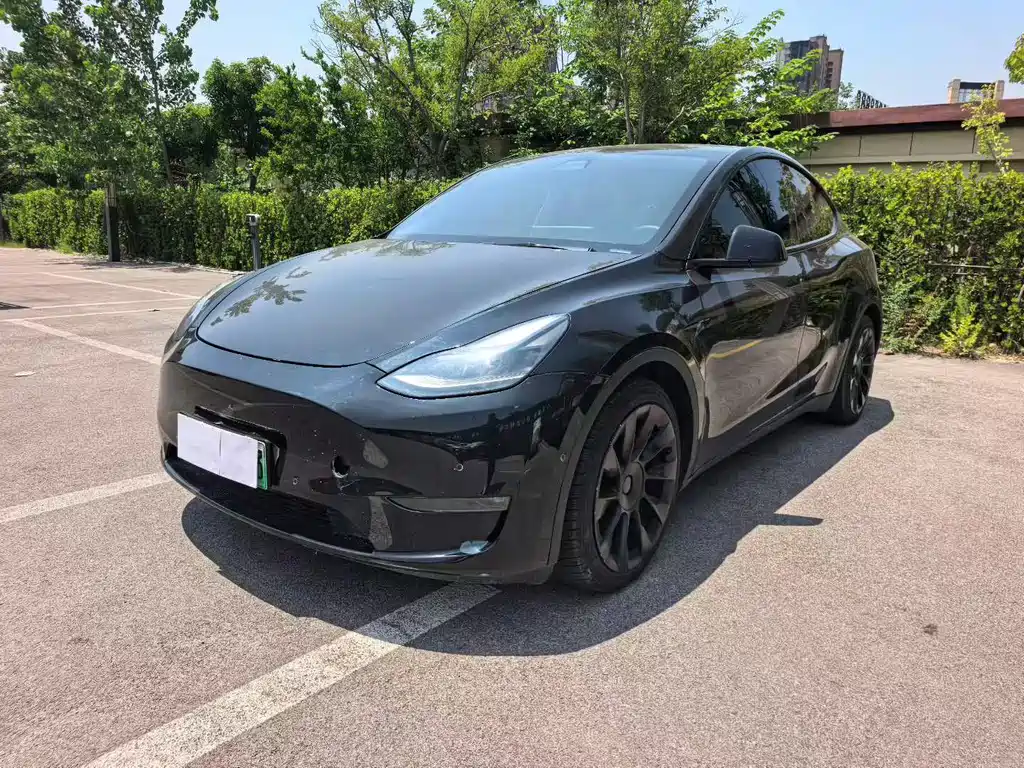Tesla Model Y — миниатюра 3