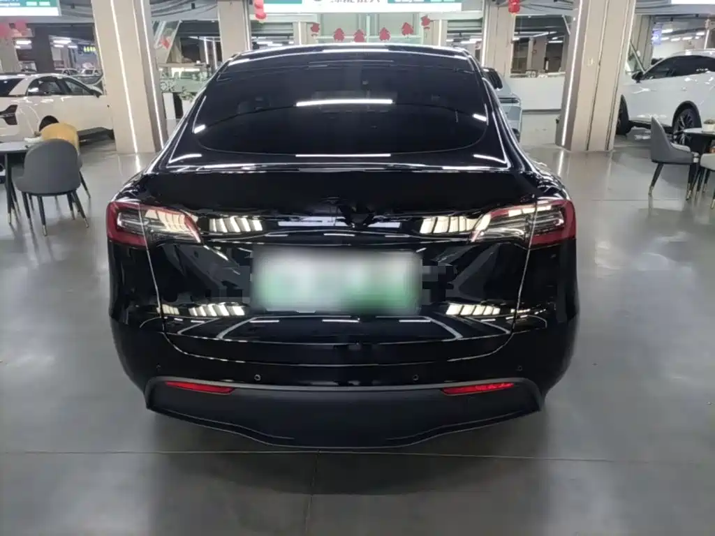 Tesla Model Y — миниатюра 6