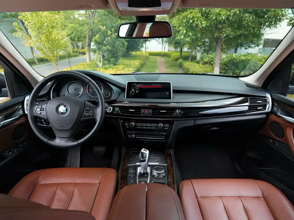BMW X5 (Import) — миниатюра 10