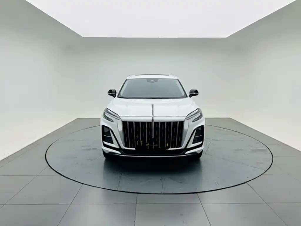 Hongqi Hongqi HS3 — миниатюра 2