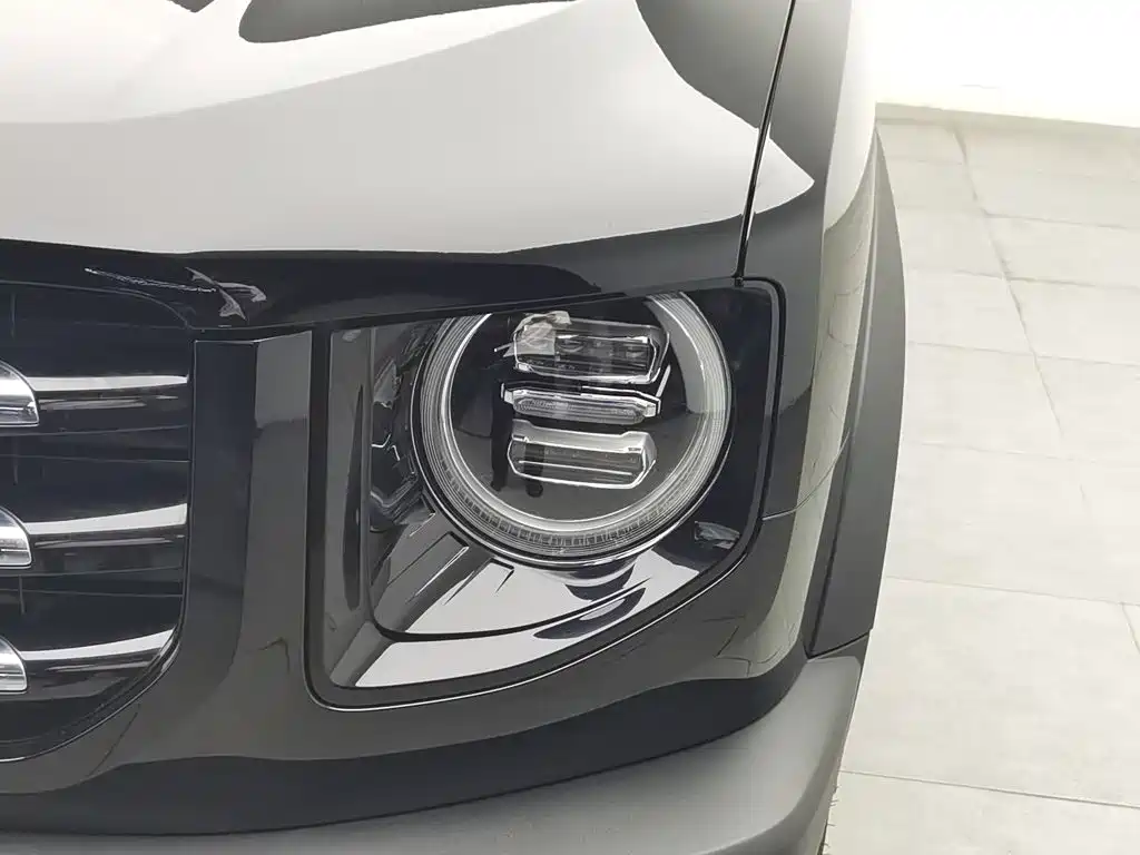 Haval Big Dog — миниатюра 7