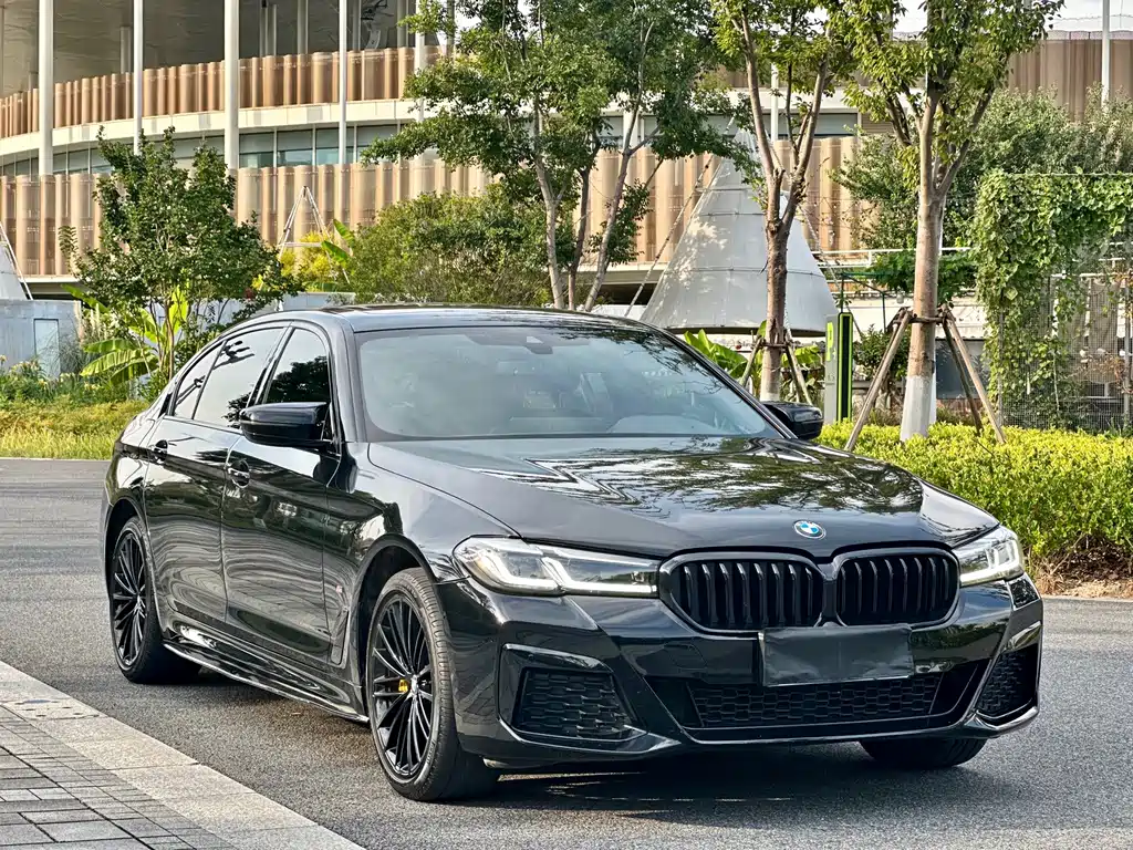 BMW 5 Series — миниатюра 3