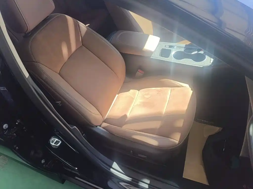 Buick Regal — миниатюра 25