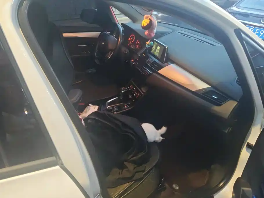 BMW 2 Series Active Tourer — миниатюра 9