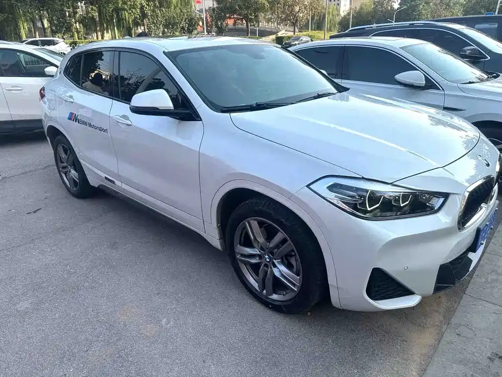 BMW X2 — миниатюра 2