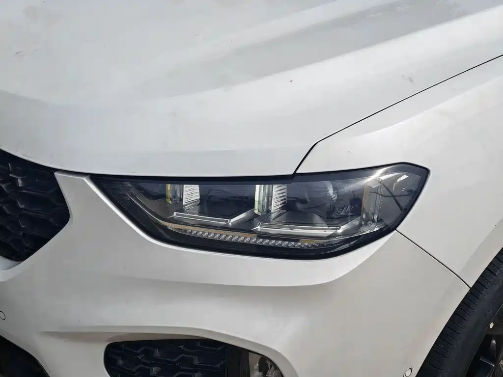 WEI PAI WEI BRAND VV5