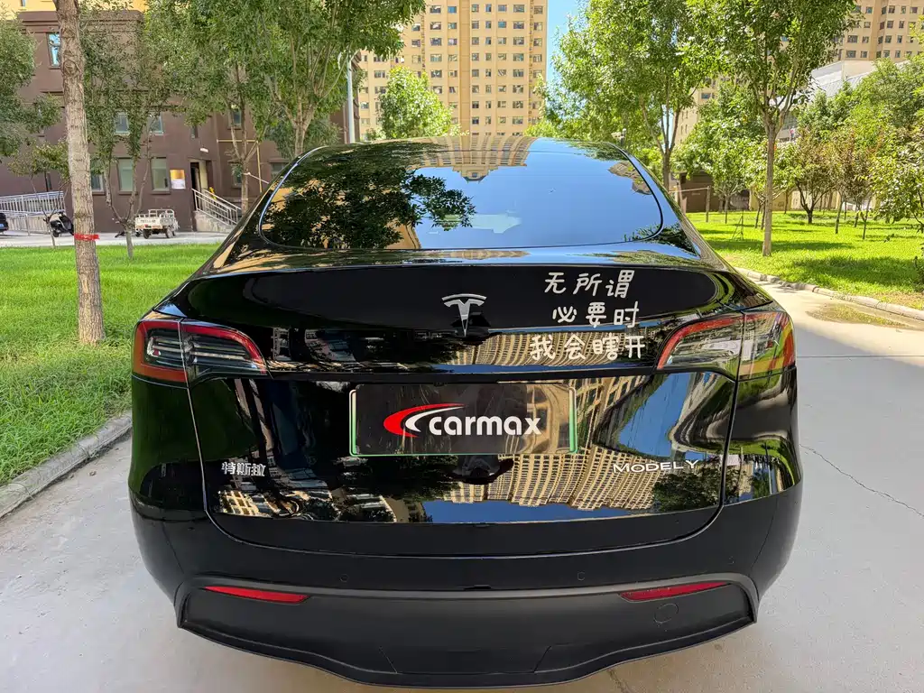 Tesla Model Y — миниатюра 8