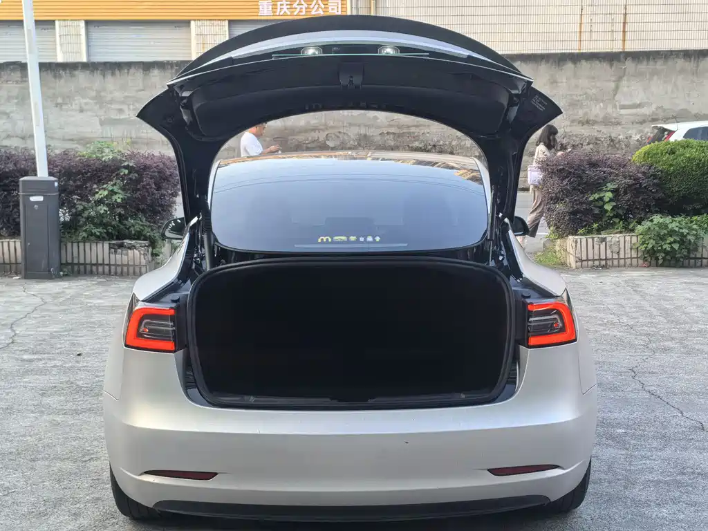 Tesla Model 3 2022 Performance