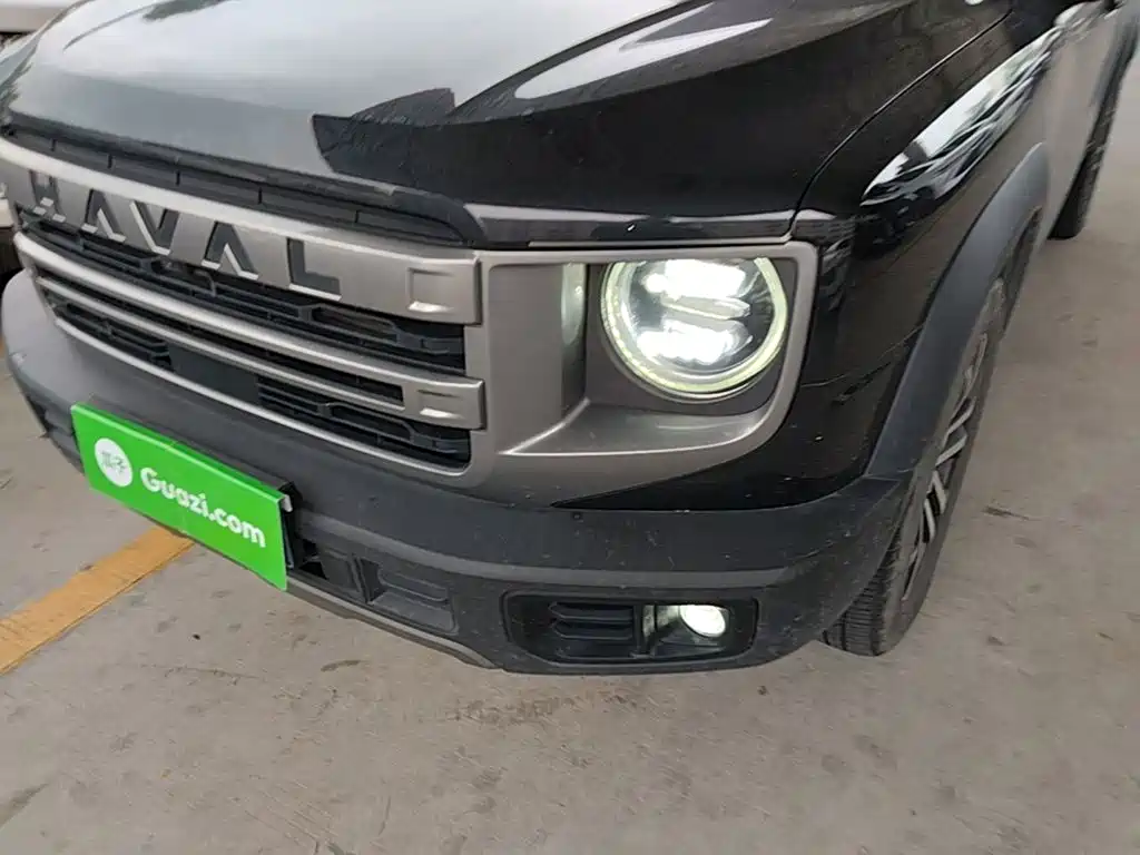 Haval Big Dog — миниатюра 24