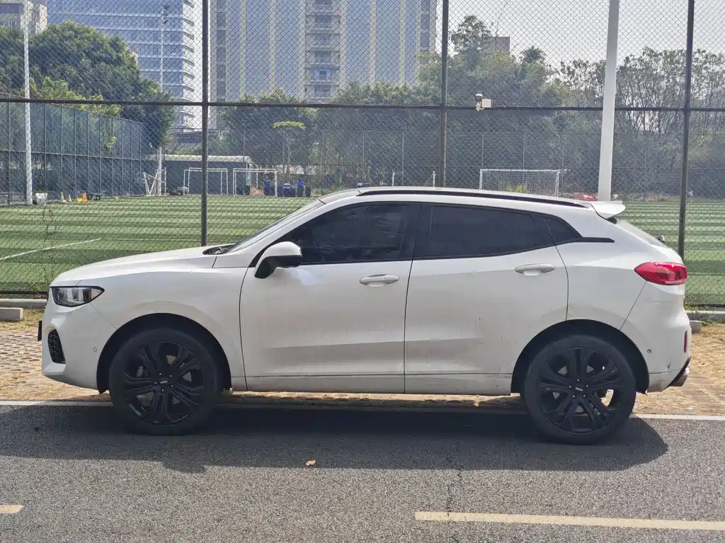 WEI PAI WEI BRAND VV5