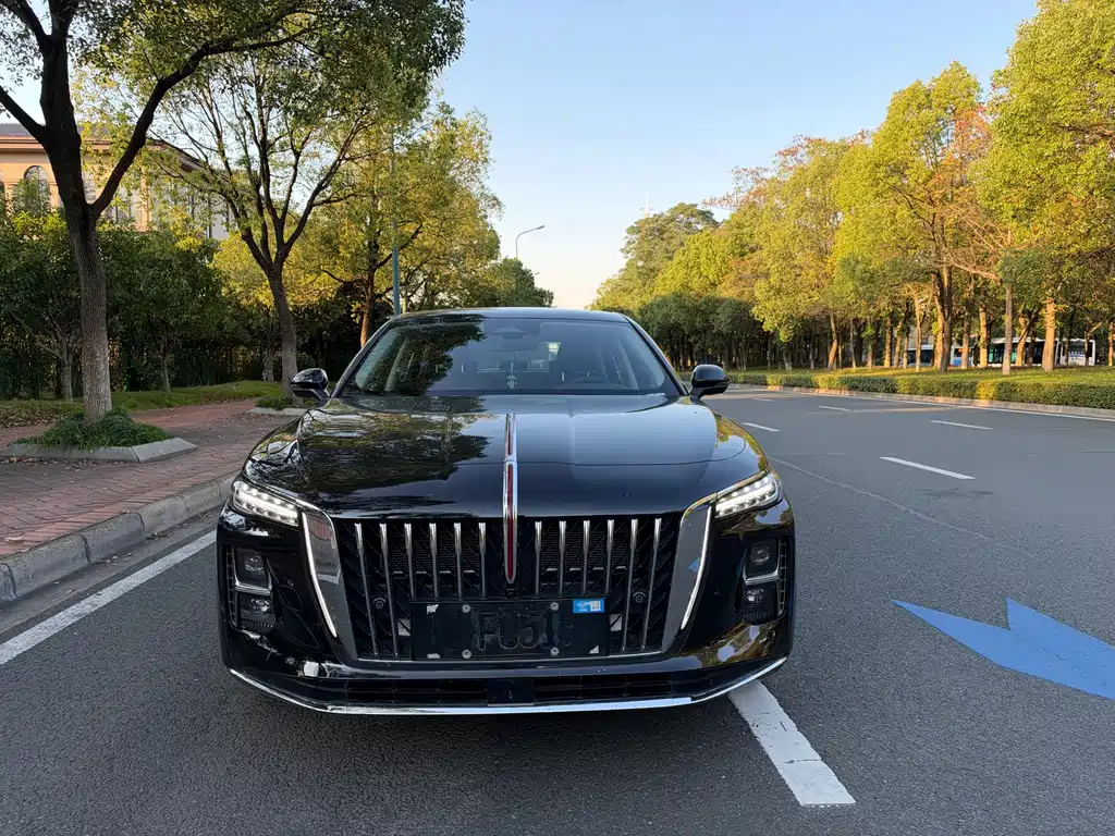 Hongqi Hongqi H5 PHEV — миниатюра 2