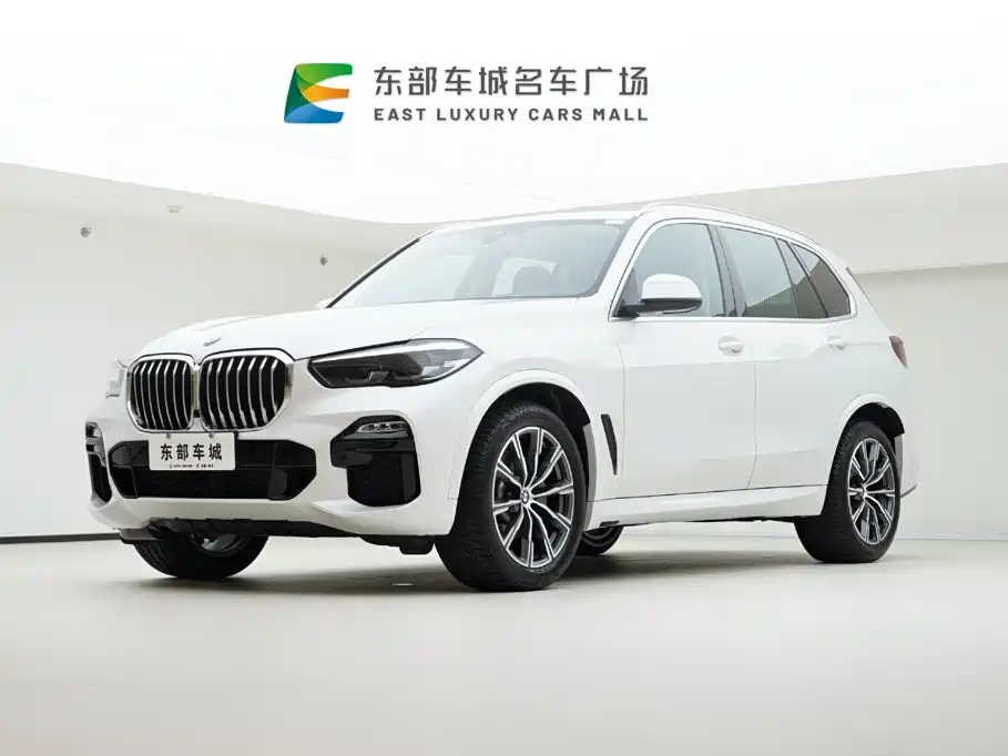 BMW X5 Import