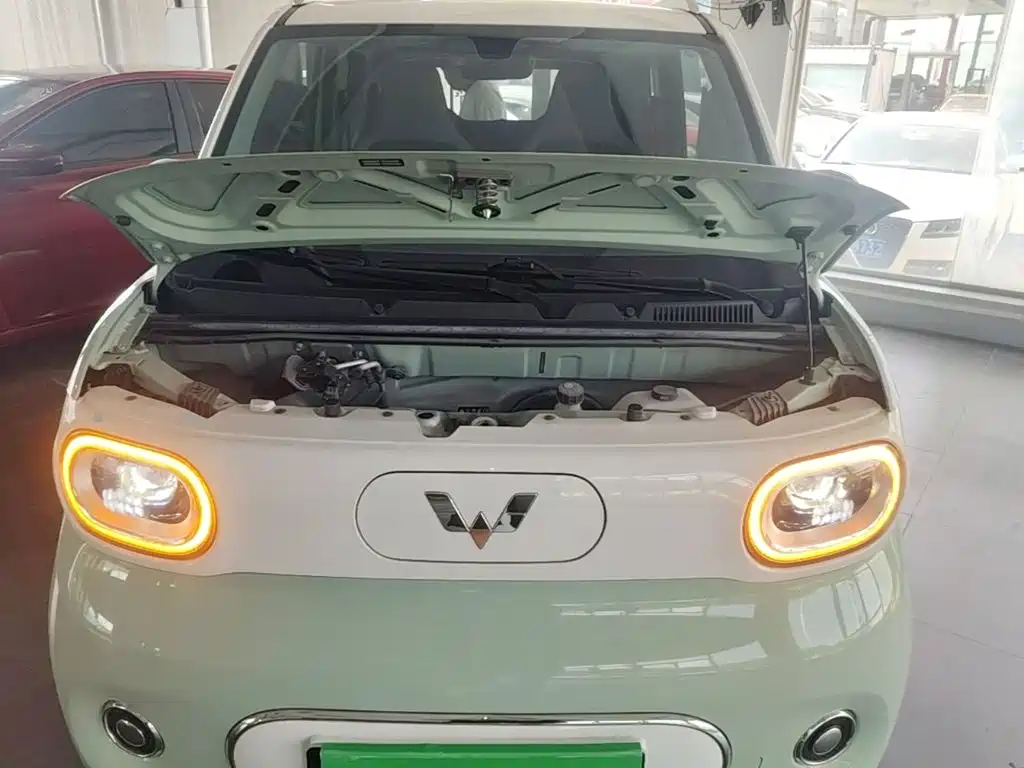 Wuling MINIEV — миниатюра 20