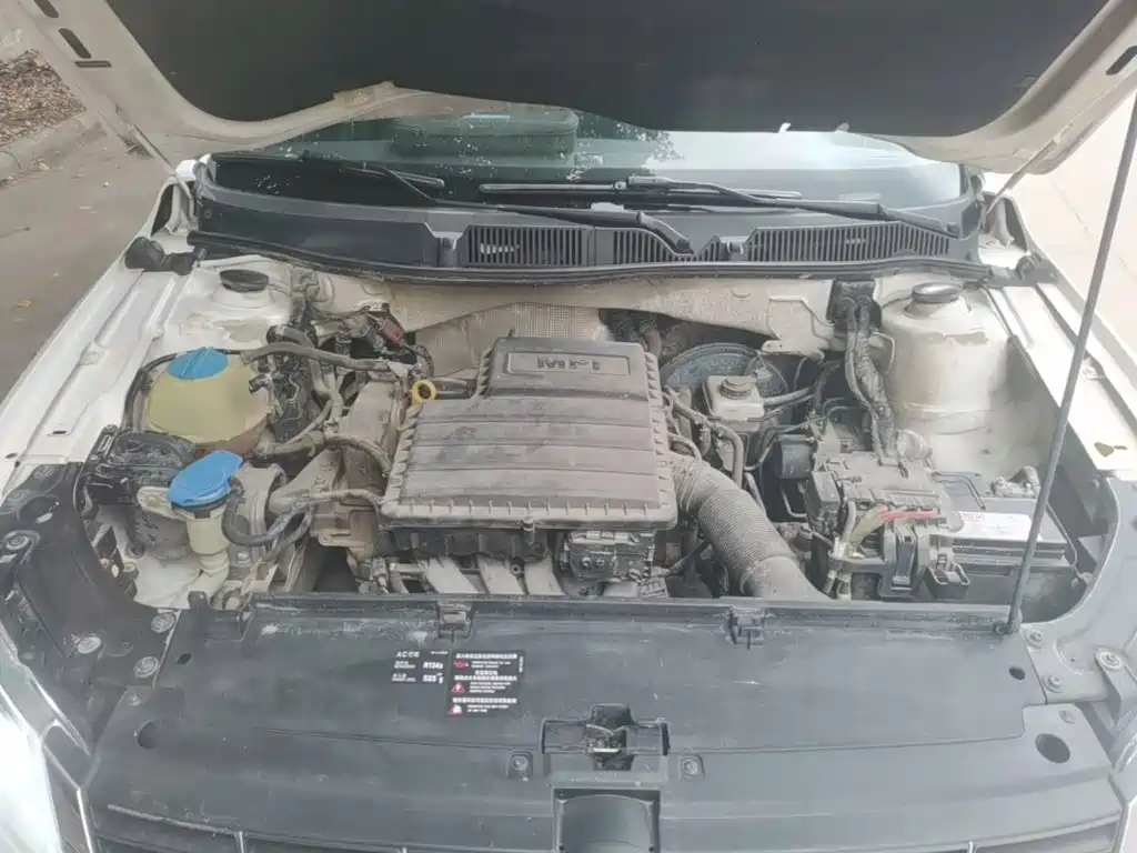 Volkswagen Gran Lavida — миниатюра 20