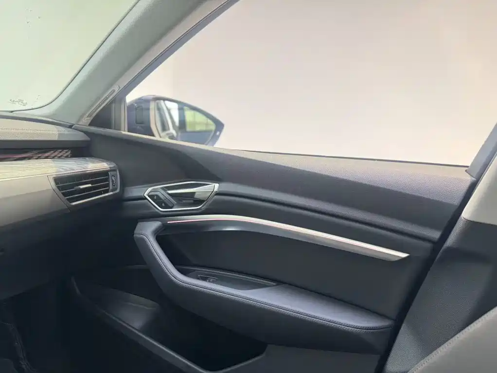 Audi e-tron (Import) — миниатюра 13