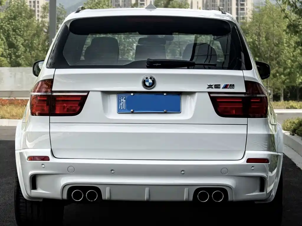 BMW X5 2010 X5 M