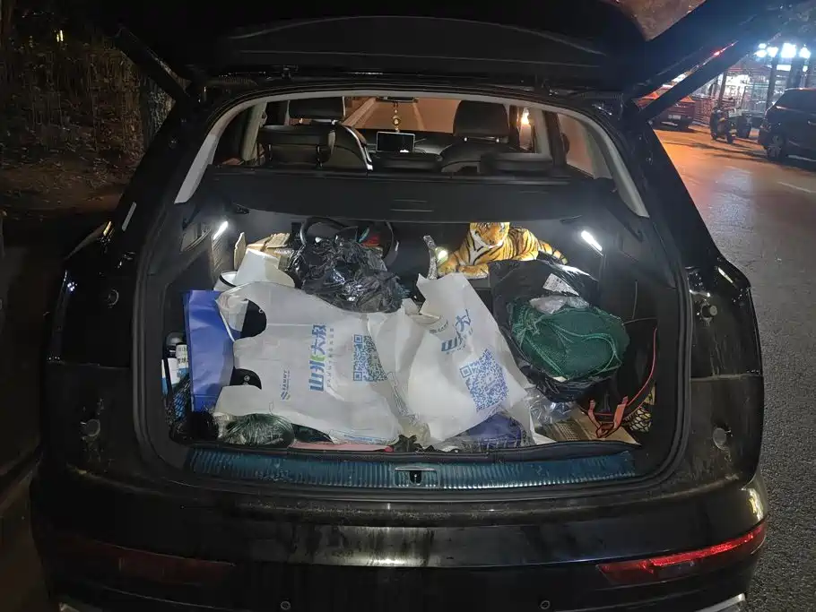 Audi Q5L — миниатюра 4