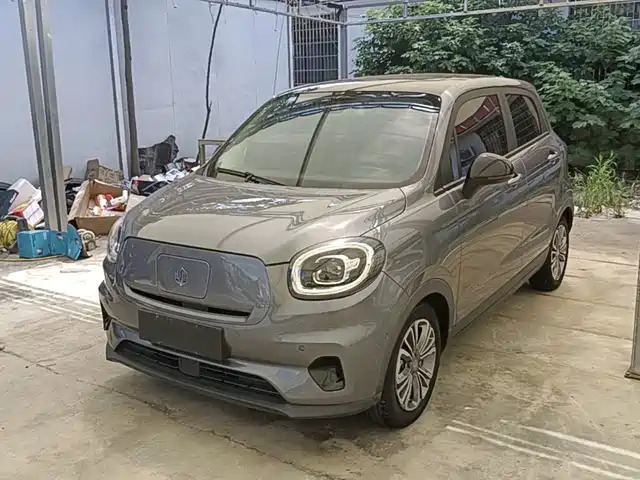 2021 Leapmotor T03