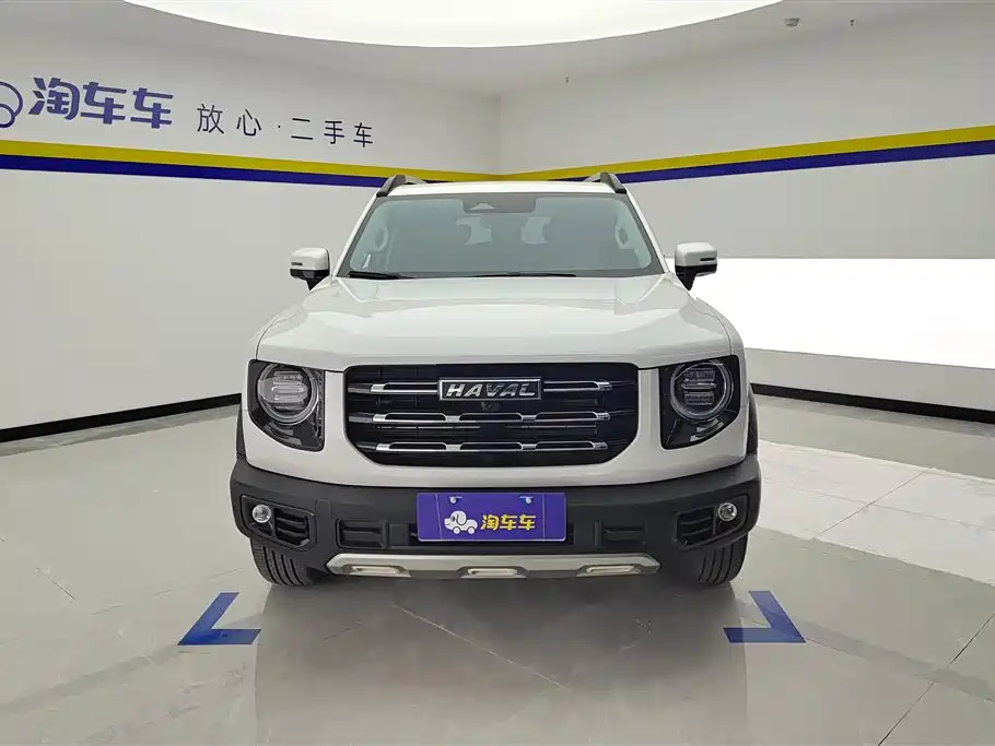 HAVAL BIG DOG