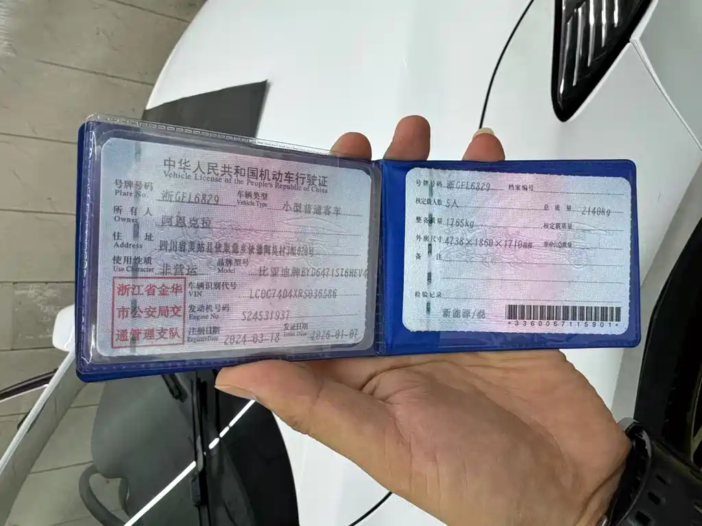 BYD Pro New Energy — миниатюра 6