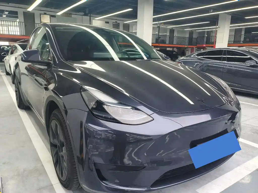 Tesla Model Y — миниатюра 3