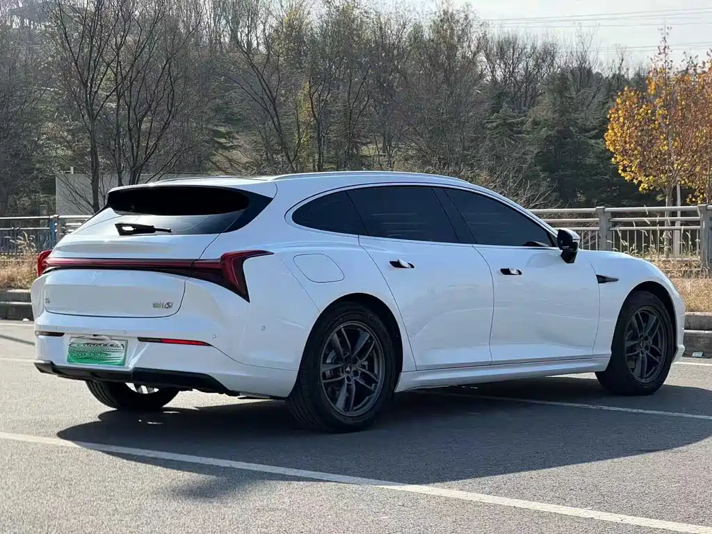 Neta S Shooting Brake — миниатюра 7