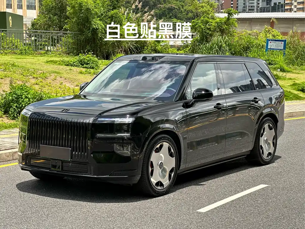 Zeekr 极氪9X 2025
