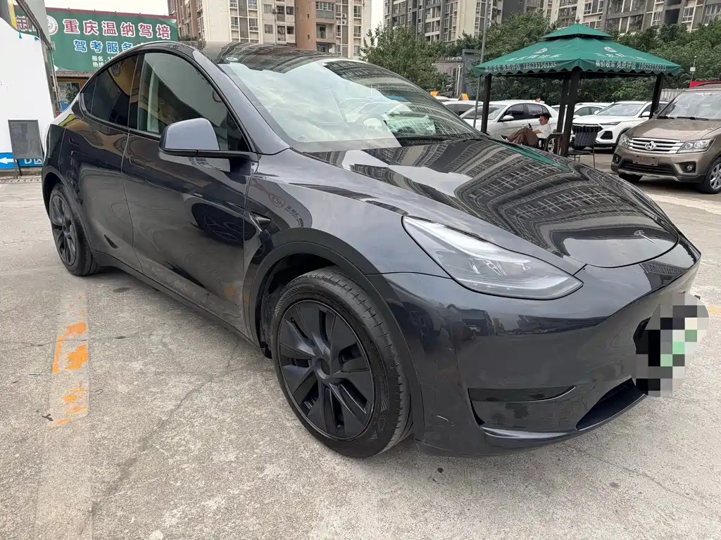 Tesla Model Y — миниатюра 3